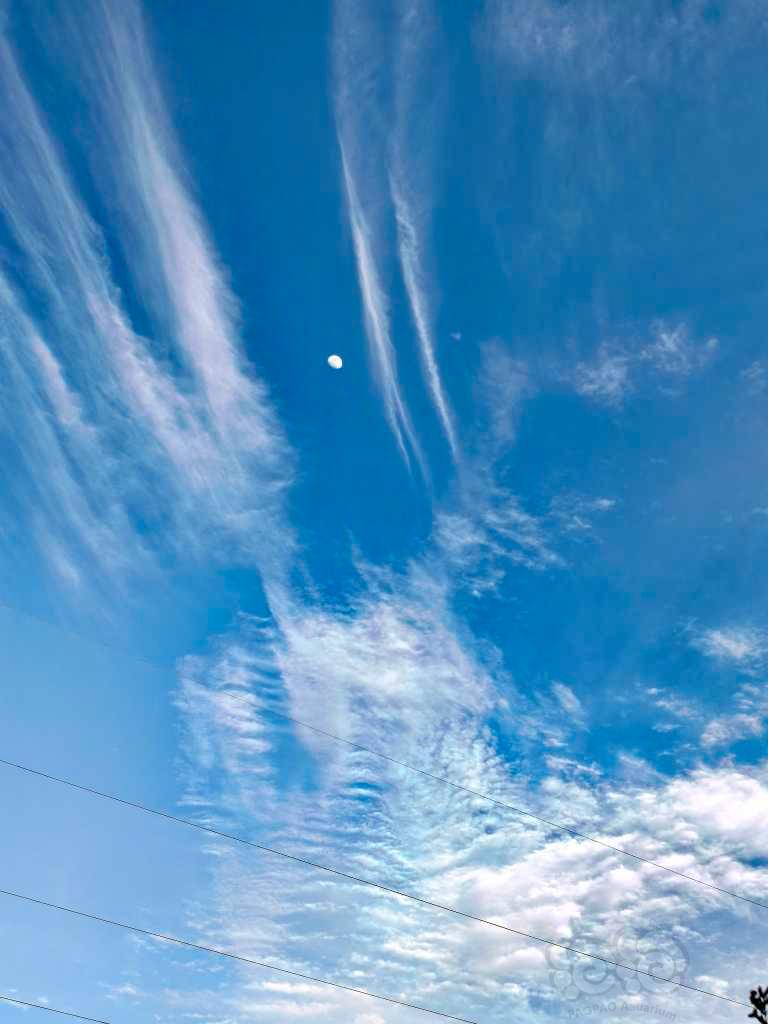 蓝天白云和月-图1