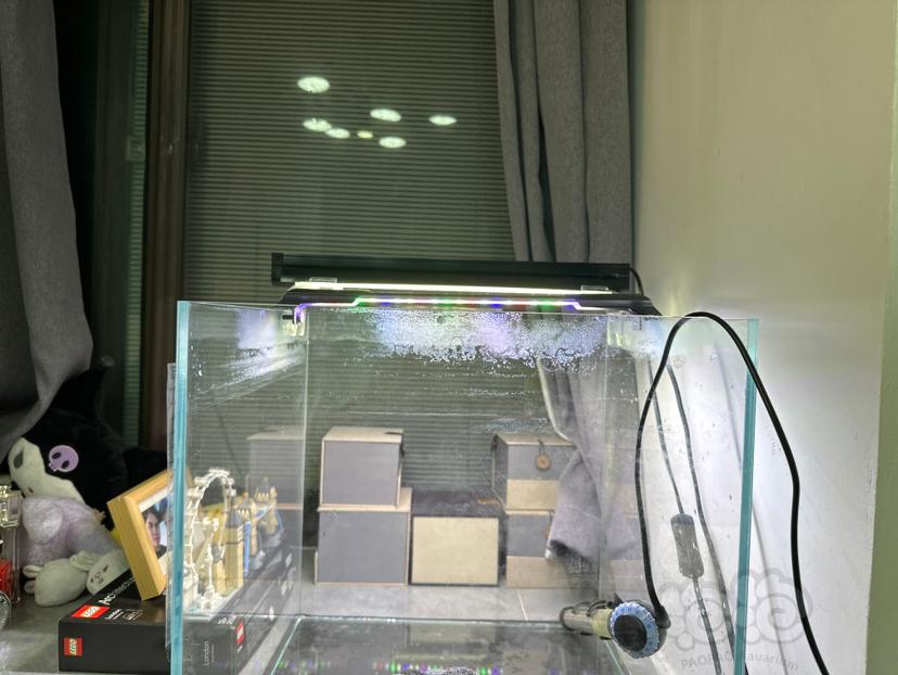 【器材】出一个吉印金鱼暴藻灯，一个郎峰6500k灯-图2