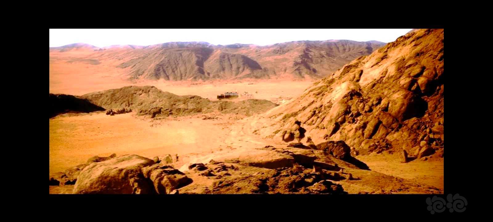 【微景观】沙漠造景-图6
