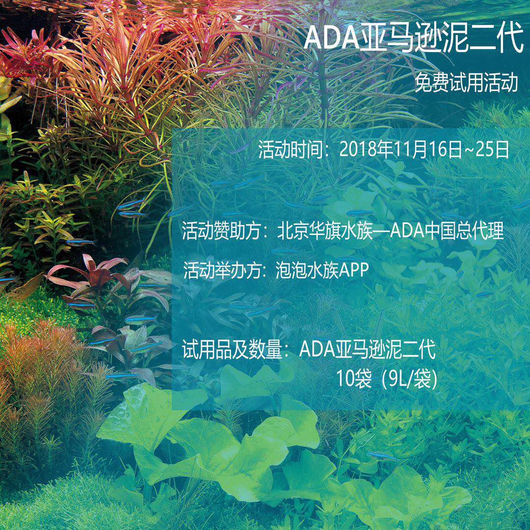 【ADA第一期】ADA亚马逊泥二代免费试用活动-图2